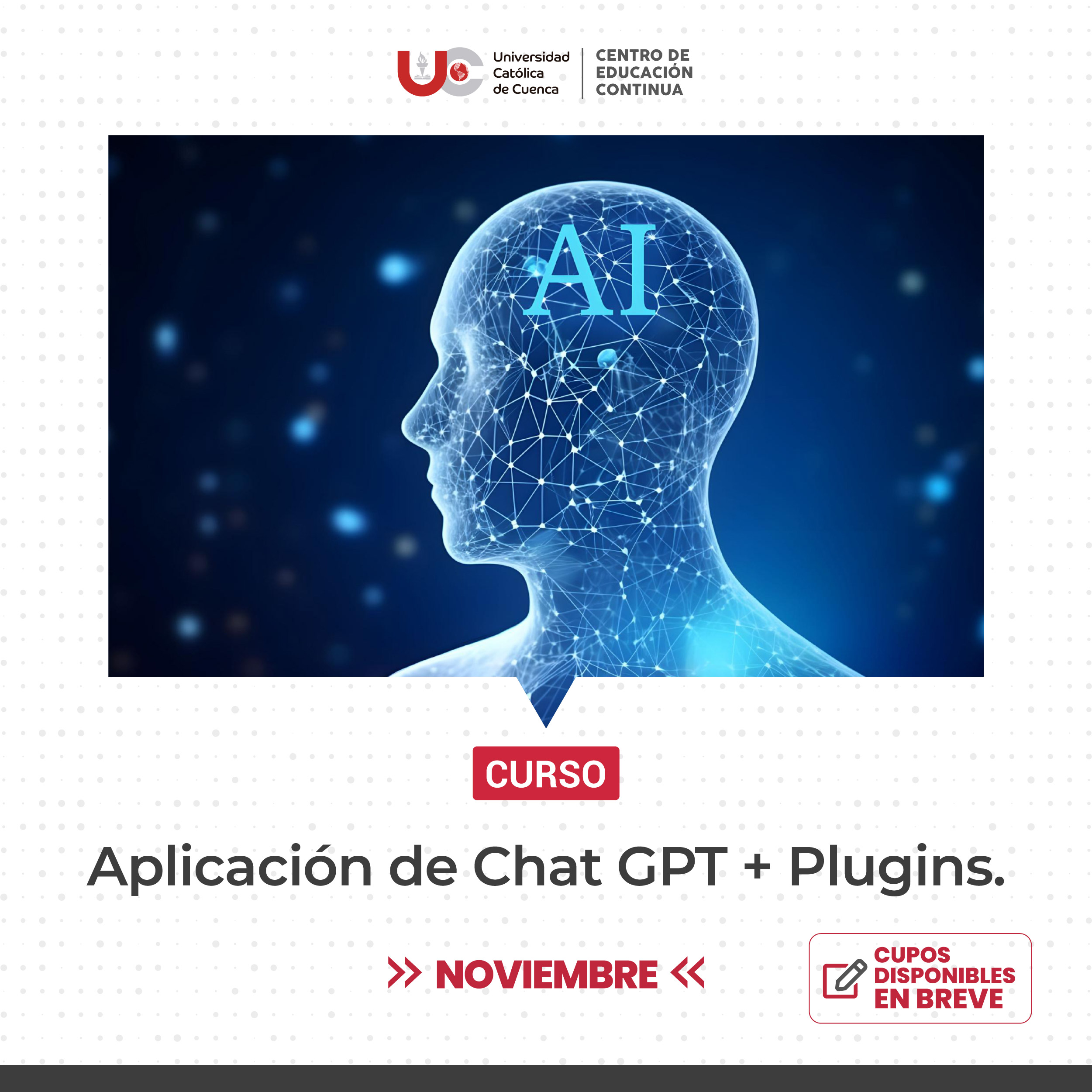 Aplicación de Chat GPT + Plugins.